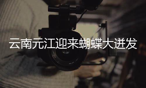 【稀缺另類拉大車獵奇網黑料吃瓜】