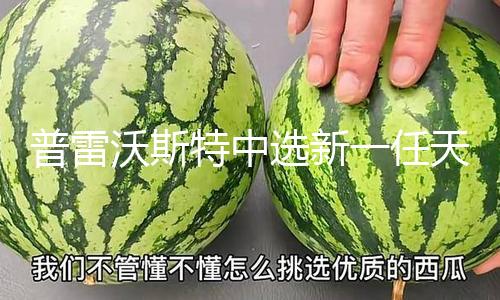 【166吃瓜網】主教稱為利奧十四世