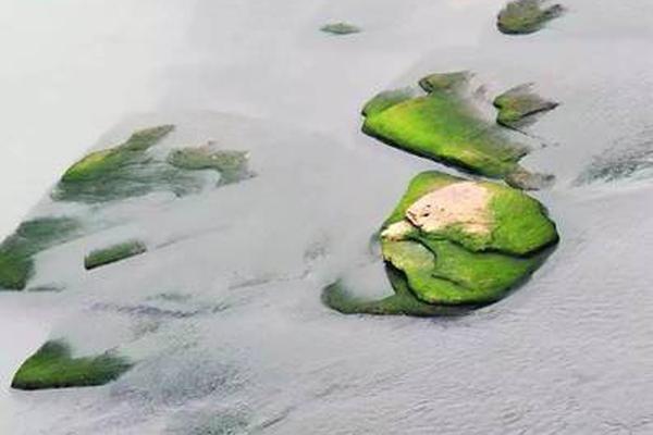 【吃瓜黑料 韓國】歸納該遺址多種發現