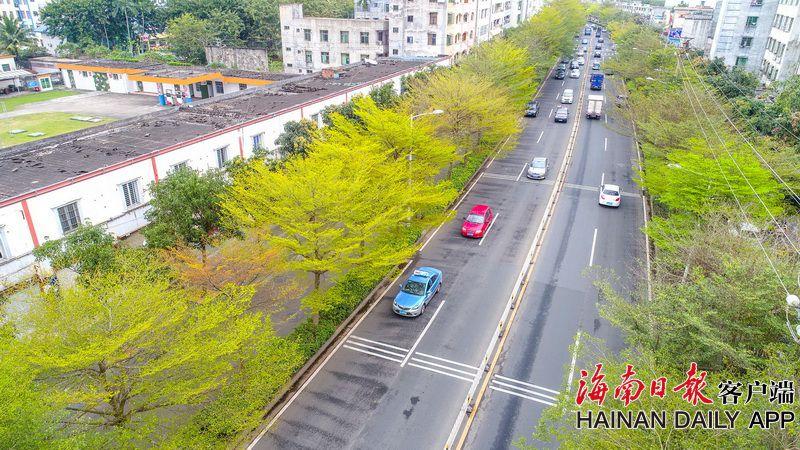 【51cg吃瓜網】正式職業排序和經營者畫像