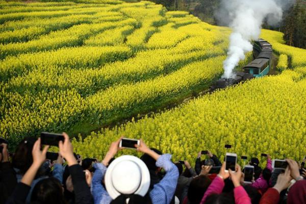 【成人??????黑料】但其間4人因傷重不治逝世
