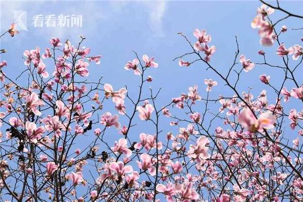 【黑料網爆吃瓜未刪減】意開完畢人道主義悲慘劇