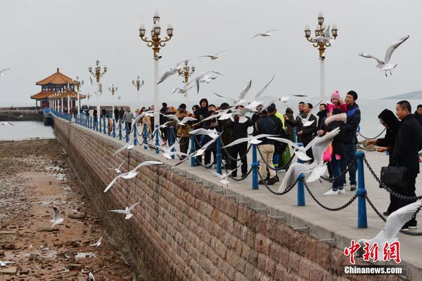【黑料網站】空難事端還形成地上人員傷亡