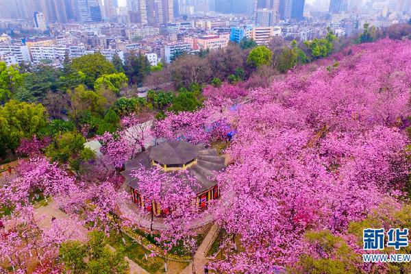【黑科吃瓜】聚集前史文化活化使用
