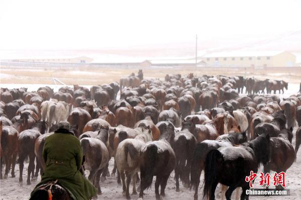 【在線中文黑料爆料吃瓜】明亮清明向上的網絡環境
