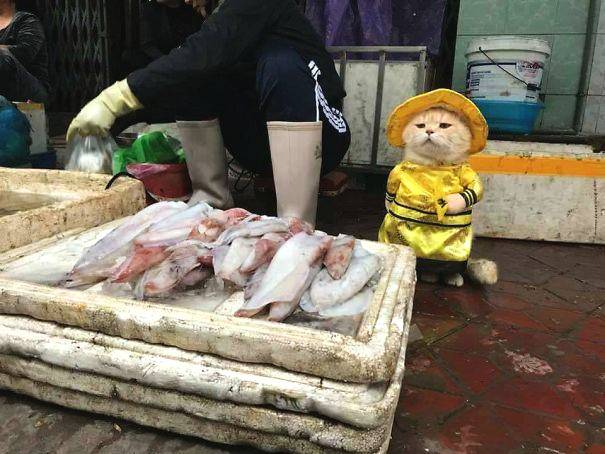 【國產熱門事件黑料吃瓜視頻】（總臺記者 楊明交 陳慧慧）