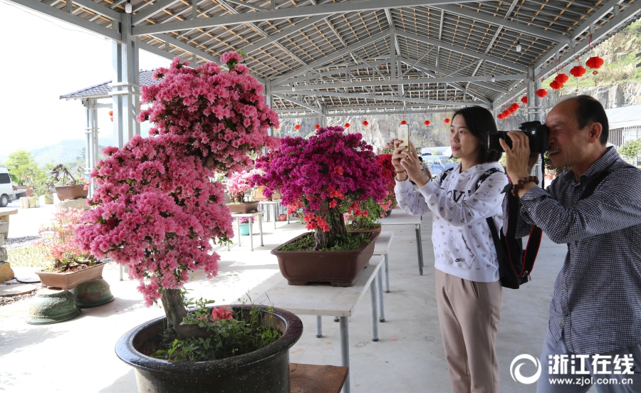 【黑料51】法國民航總局還表示