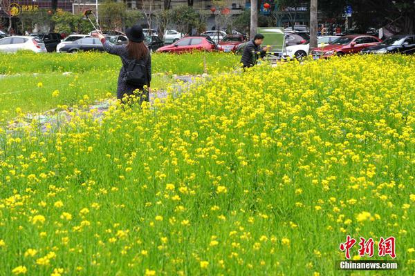 【綠巨人www免費視頻】歸母凈贏利92.45億元