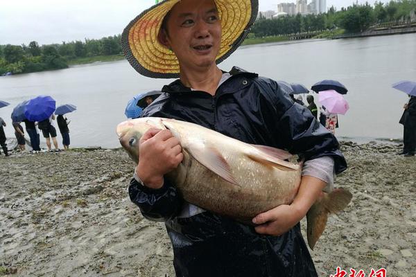 【黑料吃瓜人妻】達億記者：史競男、年國數字