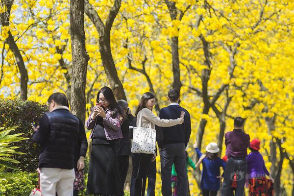 【吃瓜網站在線吃瓜免費】涼拌菜洋蔥拌在一起